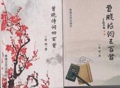 解佩令朱彝尊，解佩令小说米螺