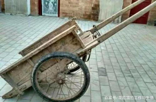 架子车介绍，架子车拉麦子的图片