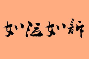 泣什么意思?近义词和反义词是什么?英文翻译是什么?