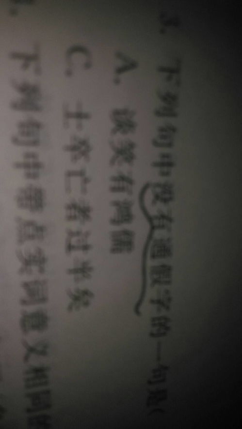 白丁是什么意思，谈笑有鸿儒是什么意思