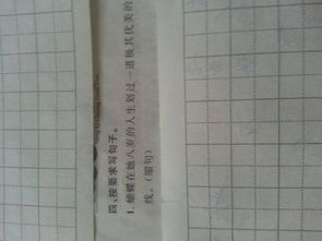 绮丽近义词是什么
