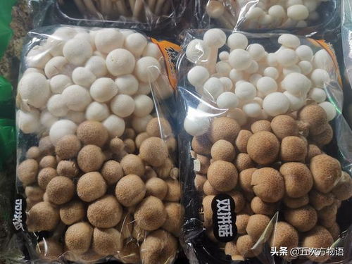 劳什子是什么意思啊谢谢了,大神帮忙啊