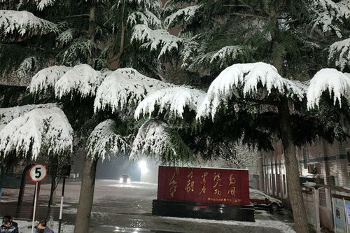 大雪压青松,青松挺且直出自哪位诗人的诗?