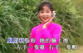小媳妇回娘家歌词，邓丽君小媳妇回娘家
