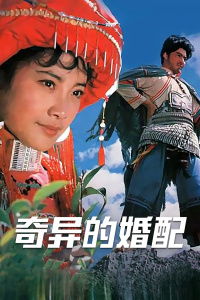 电影《奇异的婚配》视频,电视剧《勇敢的心》宋寨主的扮演者是谁?
