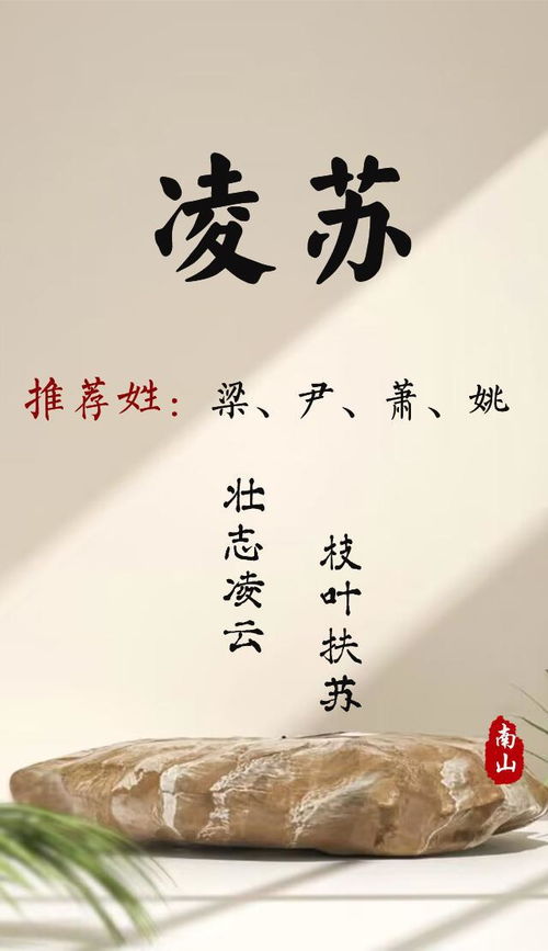 风度翩翩造句