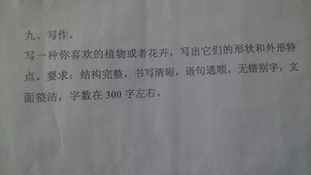 用珍贵造句