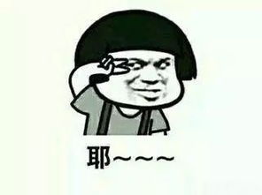 呆的拼音怎么写?