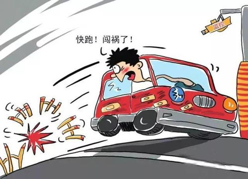 肇事的意思