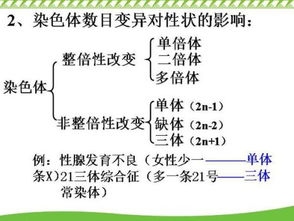多倍体育种的方法，多倍体育种名词解释