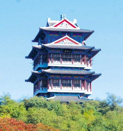 辽城是哪一个省份 聊城是哪里的
