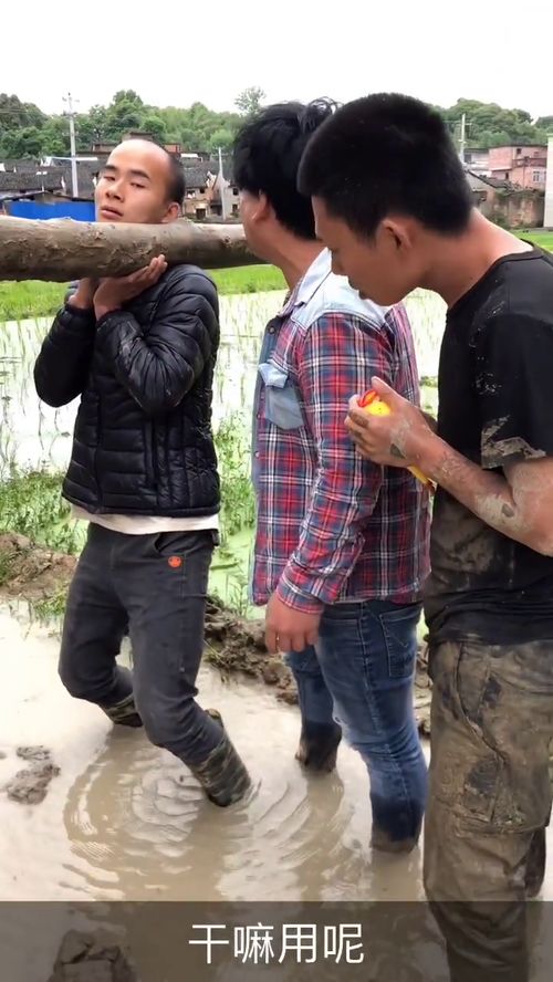费力的意思是什么