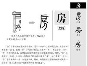 房的拼音字母，草的拼音