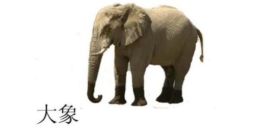 大象的拼音是什么拼音怎么写，气象的拼音