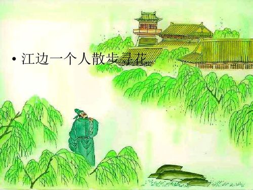 杜甫诗词《江畔独步寻花·其六》原文译文赏析