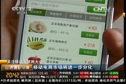 拍档是什么意思