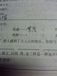 照常的反义词语，照常的反义词是什么标准答案