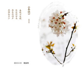 阳春二月还是阳春三月，阳春二月打一准确生肖