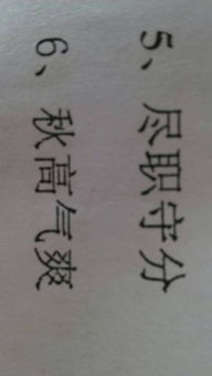 用漂亮和珍贵造句，珍贵造句子