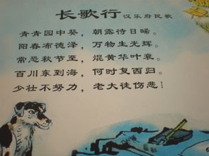 长歌行意思简短，长歌行意思简短30