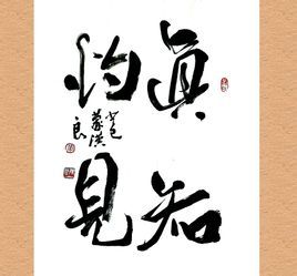真知数据恢复app，真知棒棒棒糖图片