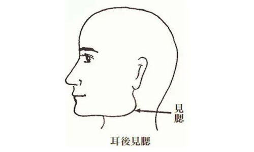 什么耳什么腮啊?成语!!!急急急