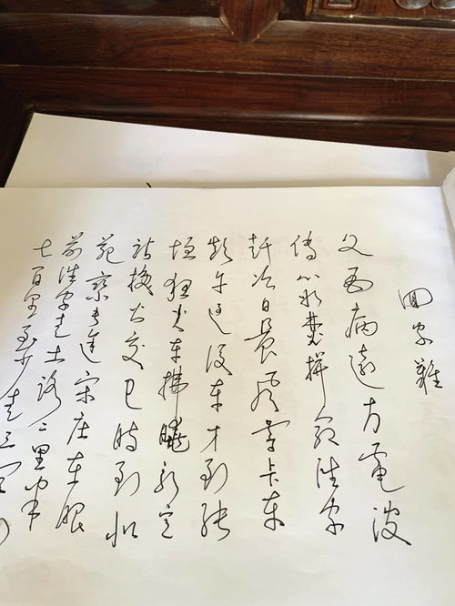 篷能组什么词，朋能组什么词语有哪些词语