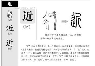劲的读音的区分小口诀，劲的读音jin和jing怎么区分