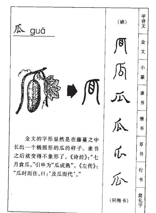 瓜的拼音怎么读