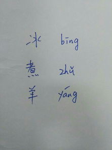 冰的拼音怎么写