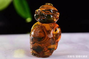 时光是琥珀是什么意思，玳瑁琥珀是什么意思