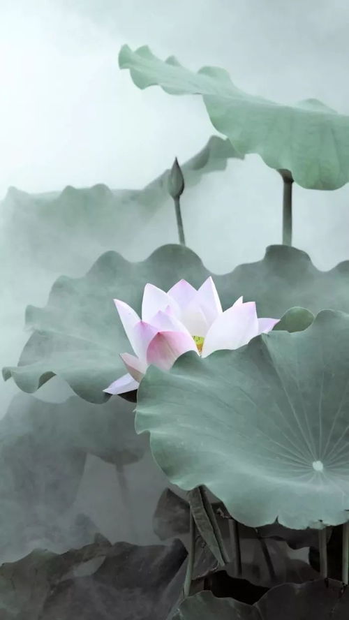 重荷的意思