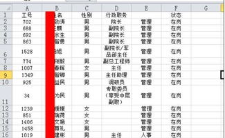 将领的意思是什么