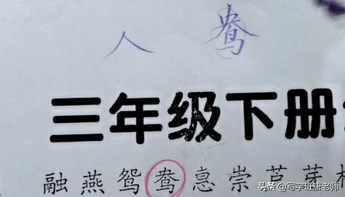 买是什么结构的字怎么读，买这个字是什么结构