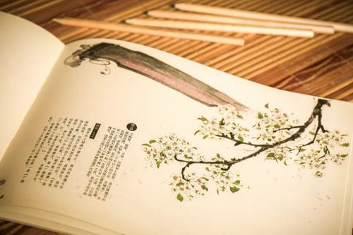 熟识的近义词是啥，近义词和反义词