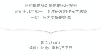 掷的意思解释