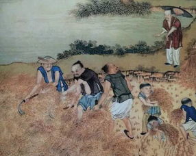 “春种一粒粟,秋收万颗子,四海无闲田,农夫犹饿死。”出自哪首诗?_百度