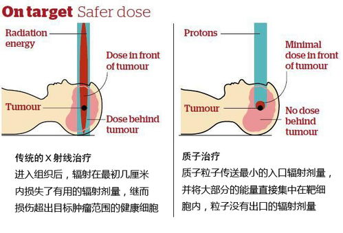 髀怎么读拼音，精髓怎么读