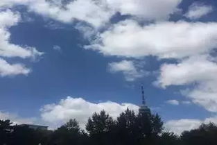 出伏什么意思