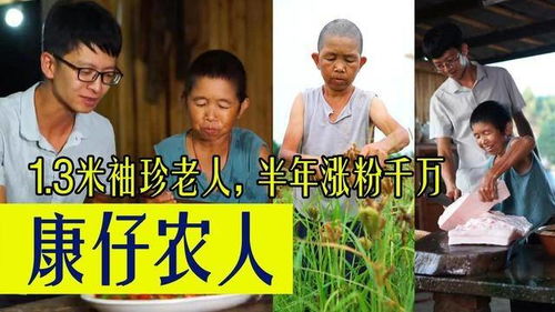 袖珍人是什么意思?