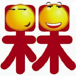 槑槑什么意思