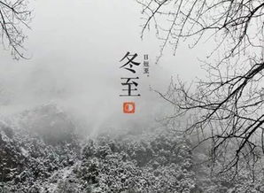 天时人事日相催,冬至阳生春又来。原文_翻译及赏析