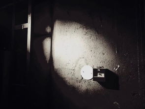 蓄势待发的意思，虚热体质怎么调理