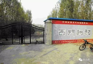 顶针续麻是首尾相连,循环往复的一种文字游戏，顶针续麻的句子有哪些