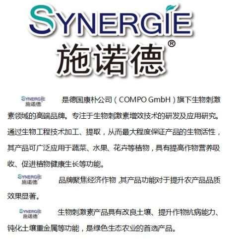 什么是南北对话