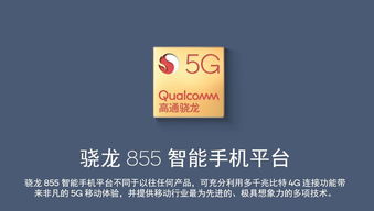 面世的近义词，面带微笑