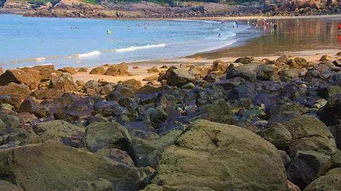 陇的意思，垅的意思组词