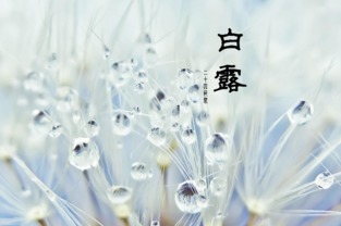 白露诗句大全100首，白露诗句白居易
