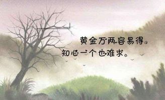 什么的欣赏填空词语，什么的欣赏形容词