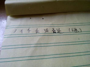 建笔顺笔画，延笔顺正确的写法